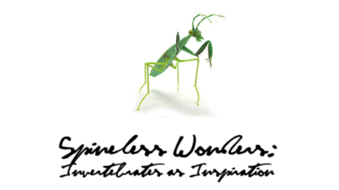 green mantid above exhibit name