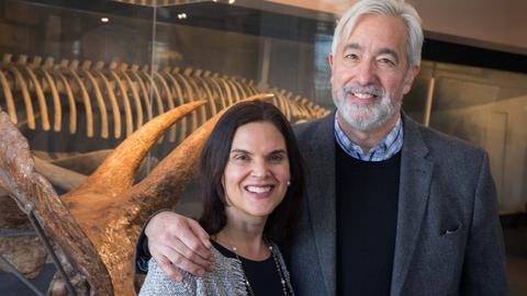 Irina Ferreras and Brian D. Farrell