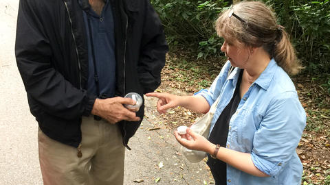 Profs. Farrell and Pierce discussing a collected insect in São Paulo