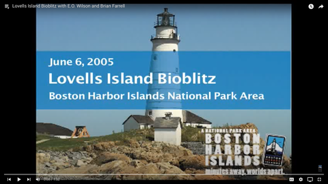 Screenshot of opening screen to Lovells Island Bioblitz video