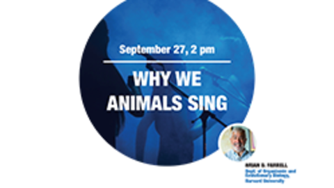Thumbnail of poster for Why We Animals sing (white background, blue top and bottom, Brian Farrell in middle with text)