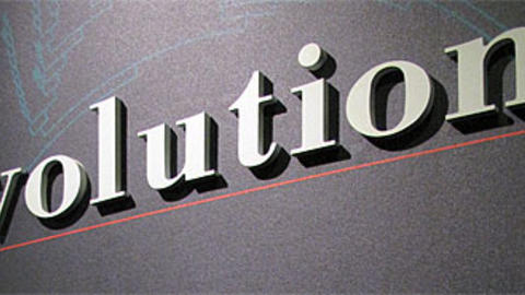 "Evolution" exhibit sign at the Harvard Museum of Natural History
