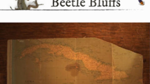 Beetles and a lizard, white background, text "beetle bluffs"