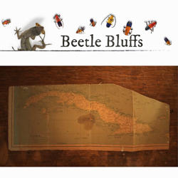 Top: beetles & lizard, white background, text 