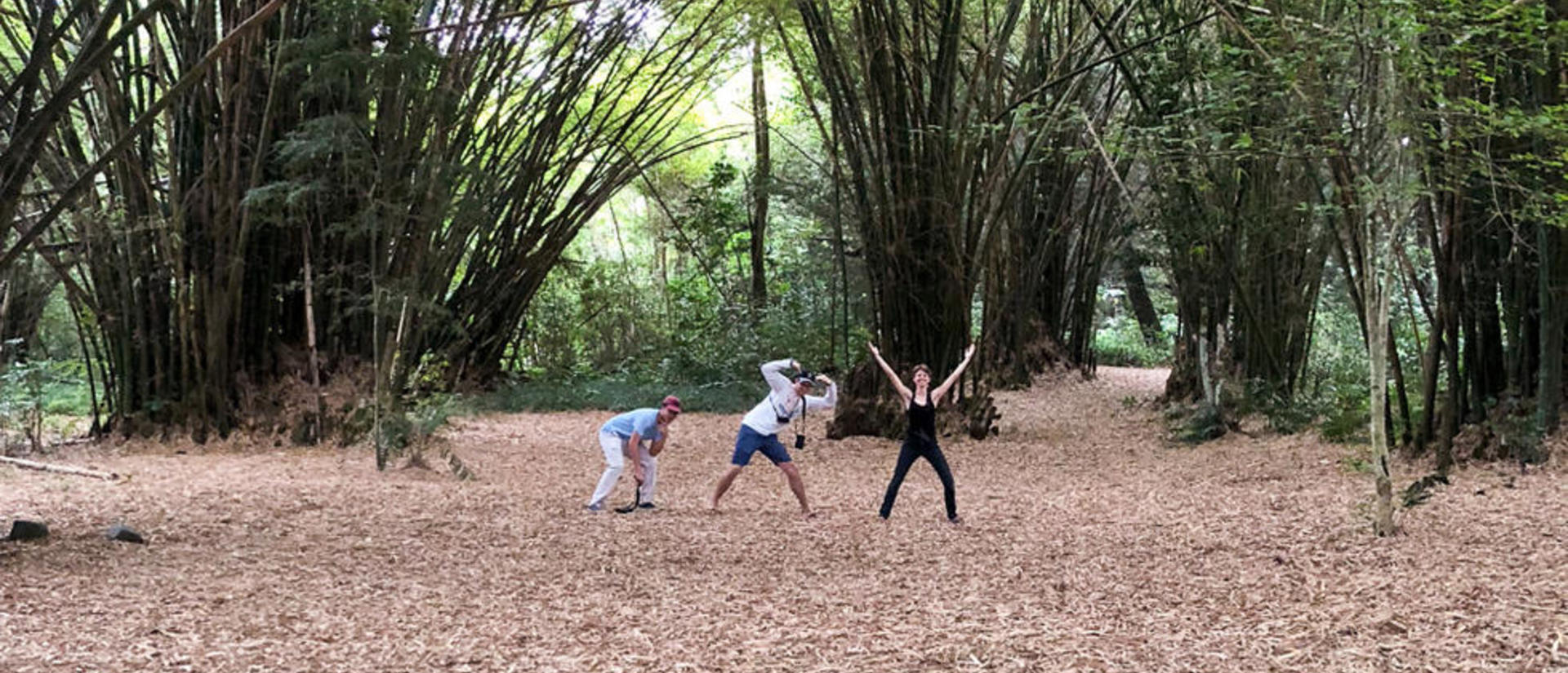3 students posing under trees at the Jardin Botánico, Santo Domingo, Dominican Republic