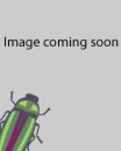 gray background with cartoon green and purple beetle