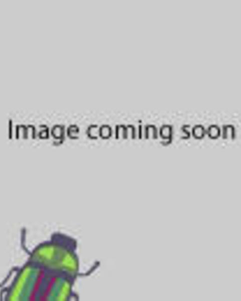gray background with cartoon green and purple beetle